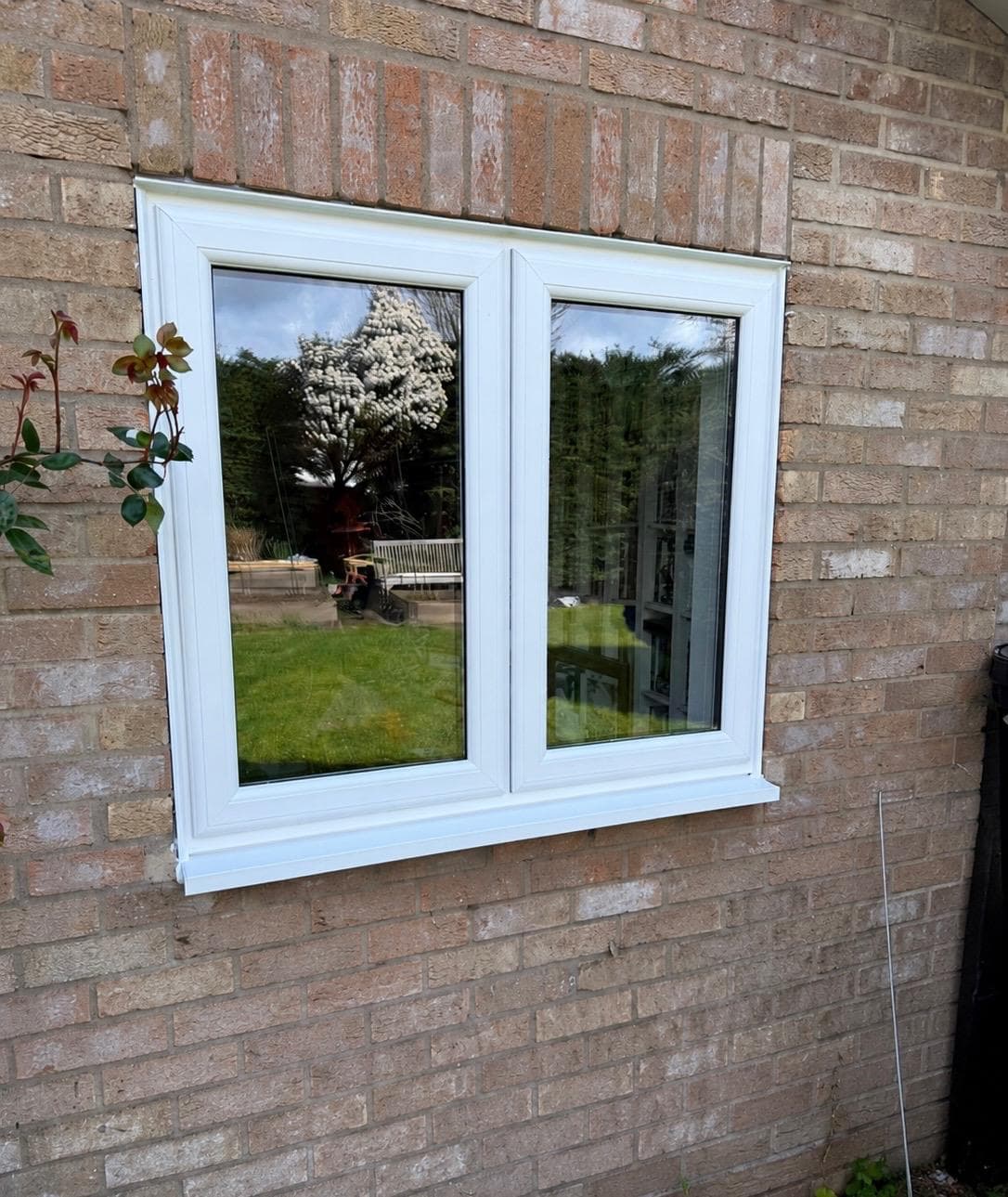 Windows